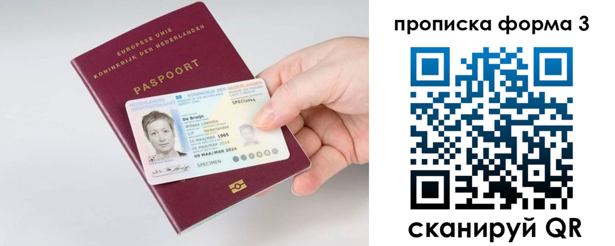 прописка 2025 в Почепе